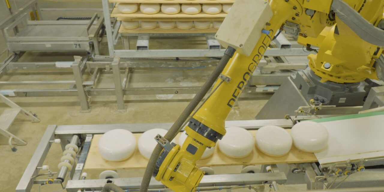 Amalthea uses Infor integrated AI solution to help improve cheese quality and yields