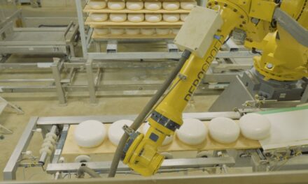 Amalthea uses Infor integrated AI solution to help improve cheese quality and yields