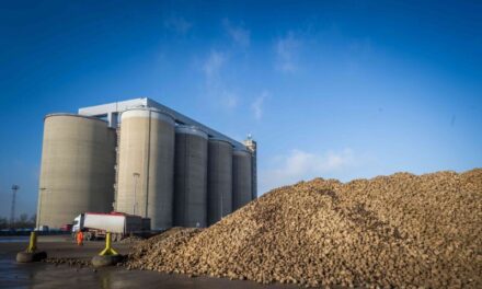 British Sugar hits maintenance sweet spot with Infor